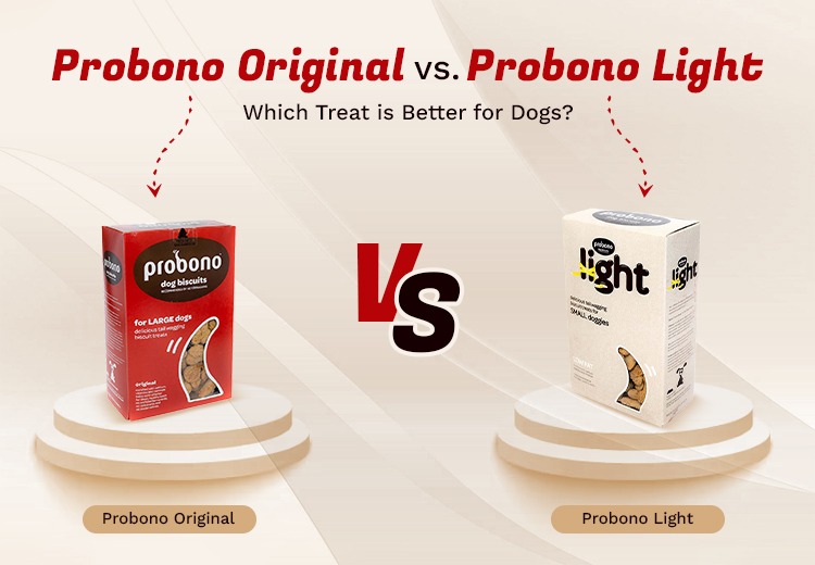 Probono Original or Probono Light